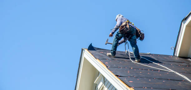 Best Storm Damage Roof Repair  in Shelby, MS